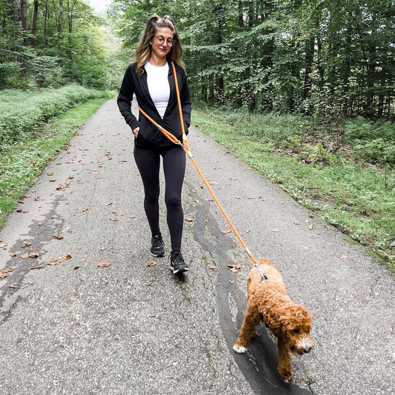 Running Zwift - Reflektierende, freihändige Hundeleine zum Wandern, Spazierengehen